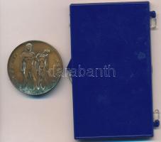 ~1969. "A Magyar Néphadsereg" ezüstpatinázott fém emlékérem pár sérült tokban (32mm) + Loó...