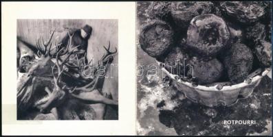 2009 Meghívó Féner Tamás saját kezű aláírásával