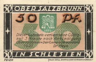 Német Birodalom /Weimari Köztársaság/ Ober-Salzbrunn 1921. 50Pf(5x) 5klf db, teljes sor T:I