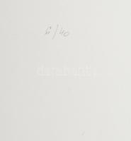 Gyémánt László (1935-): Női fekvő akt. Szitanyomat, papír, jelzett, számozott: 6/40. 49x65 cm / seri...