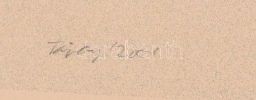 Tápai Nóra (1955- ): Ősz, 2001. Computergrafika, papír, jelzett, hátoldalán címkén feliratozott, 30,...