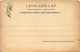 Tátra, Magas-Tátra, Vysoké Tatry; Kis-Tarpatak óriás zuhataga. Feitzinger Ede 57bt. Auto-Chrom / Kle...