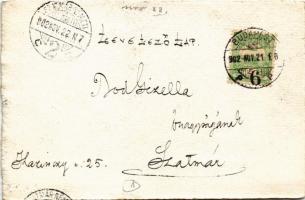 1902 Kézzel festett művészlap / Hand-painted art postcard