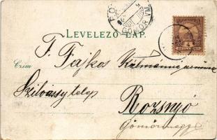 1901 Pozsony, Pressburg, Bratislava; látkép, vár, "IZABELLA" gőzhajó. Schneider & Lux ...