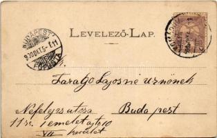 1900 Komárom, Komárno; Tiszti kaszinó, Sportkert, teniszpálya. Czike D. kiadása / officers' cas...