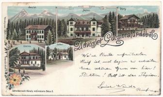 1899 (Vorläufer) Lucsivna, Lautschburg, Lucivná (Magas-Tátra, Vysoké Tatry); Irma lak, Neptun szálloda, Zuhany-fürdő, étterem, Kolibri nyaraló. Schwidernoch Károly műintézete / villas, hotel, restaurant, bath. Art Nouveau, floral, litho (EK)