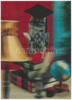 Bagoly / Owl. Modern 3D dimensional postcard