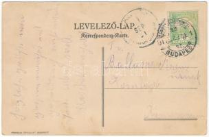 Az 1911. évi sáros- és zemplén megyei nagy fegyvergyakorlatok tájékoztató térképe. Franklin Társulat...