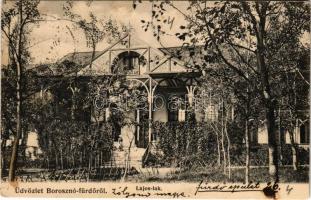 1907 Borosznó-fürdő, Brusznó, Brusno-kúpele; Lajos lak. Lechnitzky Otto fénynyomdája kiadása / villa (fl)