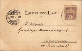 1900 Tapolyhanusfalva, Hanusfalva, Hanusovce nad Toplou; Fő utca, Béla-telep. Divald Adolf 124. / st...