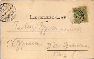 1900 Fülek, Filakovo; látkép, vár. Fénynyomat Divald műintézetéből / Filakovsky hrad / general view,...