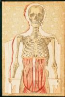 Platen, [Moritz]: Az új gyógymód. A természetszerű életmódnak, az egészség ápolásának és a gyógyszer...