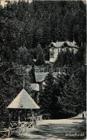 1907 Stószfürdő, Stoósz-fürdő, Kúpele Stós; nyaralók. Wlaszlovits Gusztáv kiadása / villas (EK)