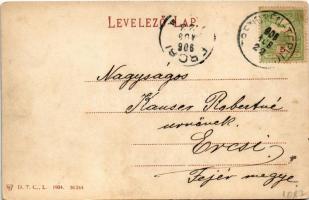 1905 Trencsénteplic, Trencianske Teplice; nyaralók / villas (EK)