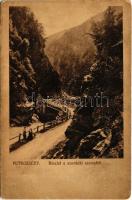 1911 Petrozsény, Petrosany; részlet a szurduki szorosból, híd. Herz Henrik és Kohn R. felvétele / Pasul Surduc / mountain pass (fl)