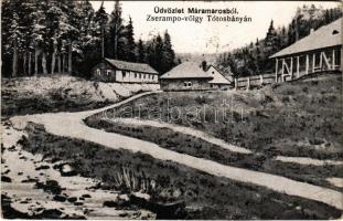 Tótosbánya, Totos (Budfalva, Budesti, Máramaros); Zserampó völgy / valley + "1940 Máramarossziget visszatért" So. Stpl (EB)