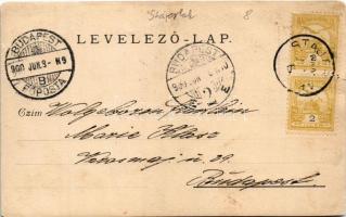 1900 Stájerlak, Stájerlakanina, Anina, Steierdorf; piac / market, folklore. photo (EK)