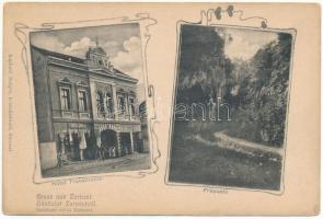 Zernest, Zernyest, Zarnesti; Propaste, Transilvania szálloda, Borger János üzlete és saját kiadása / hotel, shop. Art Nouveau