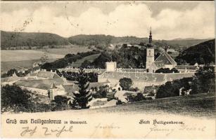 1903 Heiligenkreuz (Heiligenkreuz im Wienerwald), Stift Heiligenkreuz / abbey (fl)