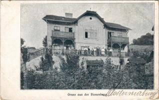 Klosterneuburg, Bienenburg / villa, inn (EK)