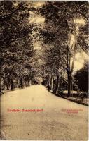1907 Zsombolya, Jimbolia; Gróf Csekonics féle kastély kert részlete. W.L. 430. / castle garden, park (EB)