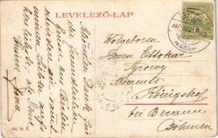 1907 Zsombolya, Jimbolia; Gróf Csekonics féle kastély kert részlete. W.L. 430. / castle garden, park...