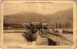 1916 Visegrád-Gizellatelep, Dr. Renner physikalis és diaetetikai szanatórium, látkép a hajóállomásról (EB)