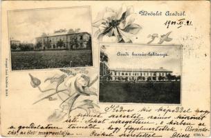 1900 Arad, Huszárlaktanya. Kerpel Izsó kiadása / K.u.K. military hussar barracks. Art Nouveau, floral (fa)