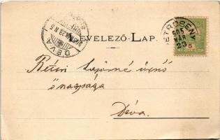 1905 Petrozsény, Petrosani; Részlet a Paringról, turisták, hegymászók, menedékház. Herz Arnold kiadá...