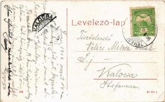 1908 Lugos, Lugoj; Eötvös tér, Raikovits, Merzig Jakab üzlete, híd, Dél-Magyarországi Bank, piac. W....