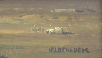 ifj. Benedek Jenő (1939-2019): Emberek a vízparton. Olaj, farost, jelzett, üvegezett fakeretben, 40x...