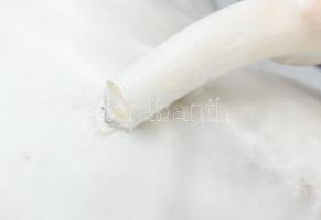 Herendi Toldi, bikával birkózó nagy méretű porcelán. Szarvak letörtek. 30 cm