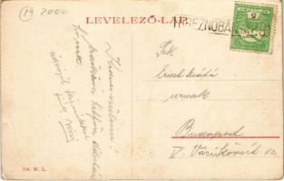 Tiszolc, Tisovec; Hegyszoros a vasúti sínnel. W.L. 704. / gorge with railway track + "BREZNÓBÁN...