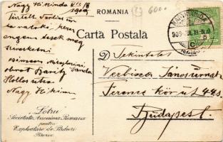 1909 Brezoi, Brezoiu (Valcea); Fabrica Lotru Societate Anonima Romana pentru Exploatare de Paduri Br...