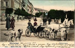 1904 Marianske Lazne, Marienbad; Stefanstrasse / street. Montage with horse chariot and dog. Lederer & Popper (EB)