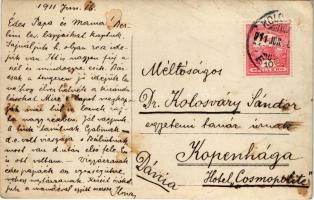 1911 Szamosfő, Maguri; Magurai nyaralótelep, tehenek / holiday resort, cows. photo (EK)