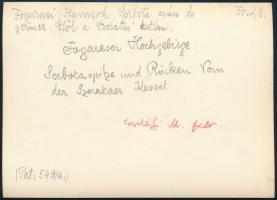 cca 1910 Fogarasi-havasok, Erdélyi Mór felvétele, hátulján feliratozva, 11,5×16 cm / Fagaras Mountai...