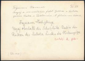 cca 1910 Fogarasi-havasok, Erdélyi Mór felvétele, hátulján feliratozva, 11,5×16 cm / Fagaras Mountai...