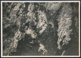 cca 1910 Királykő, Erdélyi Mór felvétele, hátulján feliratozva, 11,5×16 cm / Piatra Craiului, mountains, vintage photo by Mór Erdélyi, 16x11,5 cm
