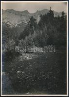 cca 1910 Brassó-vidéki hegyek, Erdélyi Mór felvétele, hátulján feliratozva, 11,5×16 cm / / Brasov (Kronstadt), Piatra Craiului, mountains, vintage photo by Mór Erdélyi, 16x11,5 cm