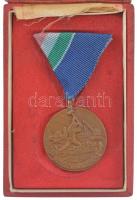 1970. Árvízvédelemért bronz kitüntetés mellszalagon, sérült tokban T:2 NMK 663.