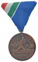 1970. Árvízvédelemért bronz kitüntetés mellszalagon T:2 NMK 663.