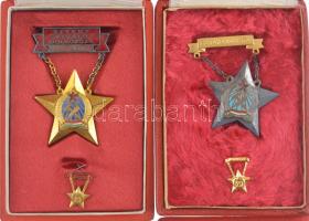 ~1947-1962. "Szakma kiváló dolgozója - könnyűipar" Rákosi-címeres, aranyozott, zománcozott...