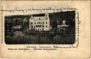 1911 Savanyúkút, Bad Sauerbrunn bei Wiener Neustadt; Hartig nyaraló. Schön Sámuel kiadása / Villa Hartig (b)