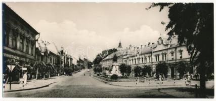 Szekszárd, Garay tér. Képzőművészeti Alap Kiadóvállalat. Nagyméretű képeslap (22,7 cm x 10,5 cm)