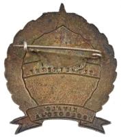 ~1970-1980. "Kisipari Szövetkezet Kiváló Dolgozója" zománcozott fém jelvény (45x37mm) T:2 ...