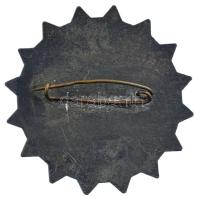 ~1942. "CORVINEUM Ifjúsági Önkéntes Szolgálat" Zn jelvény (40mm) T:2 / Hungary ~1930. &quo...