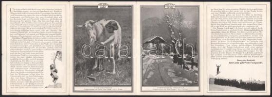 Zeiss Tessar Hatschek és Farkas Budapest IV. képes prospektus