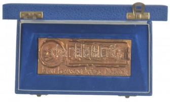 ~1975. "Lenin Kohászati Művek Diósgyőr" öntött bronz plakett eredeti dísztokban (59x148mm)...
