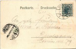 1905 Vorau (Steiermark), general view (fl)